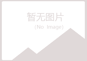 合山女孩水泥有限公司